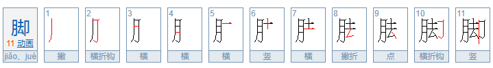 脚笔顺笔画顺序