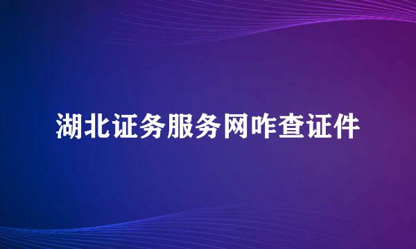 湖北证务服务网咋查证件