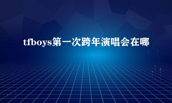 tfboys第一次跨年演唱会在哪