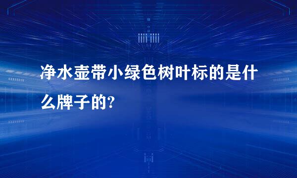 净水壶带小绿色树叶标的是什么牌子的?