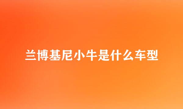 兰博基尼小牛是什么车型