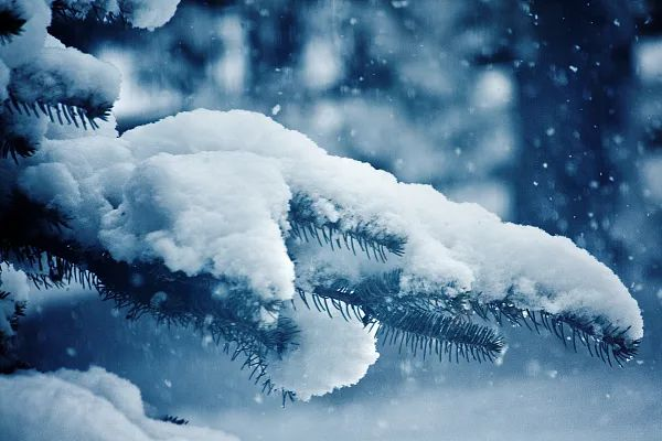 大范围雨雪天气进入最强盛时段，哪些地区会迎来大暴雪？