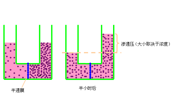 胶体渗透压和晶体渗透压的区别？