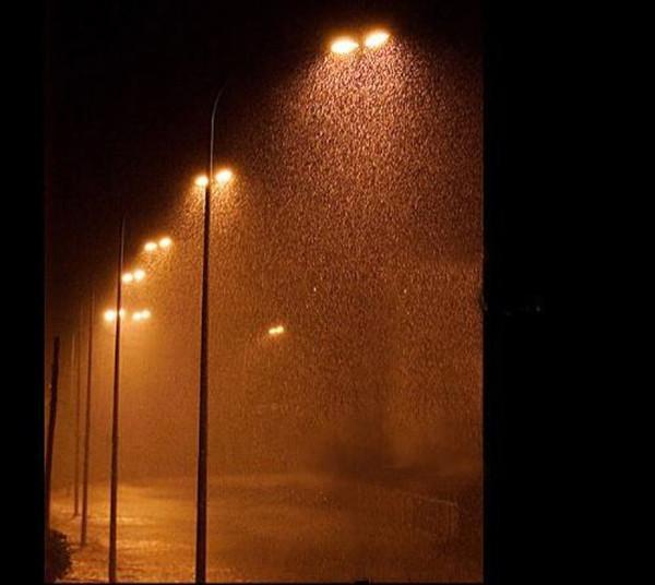 蒋红彬落网记：人人羡慕的有钱人，变成了可怕的“雨夜色魔”，后来怎样？