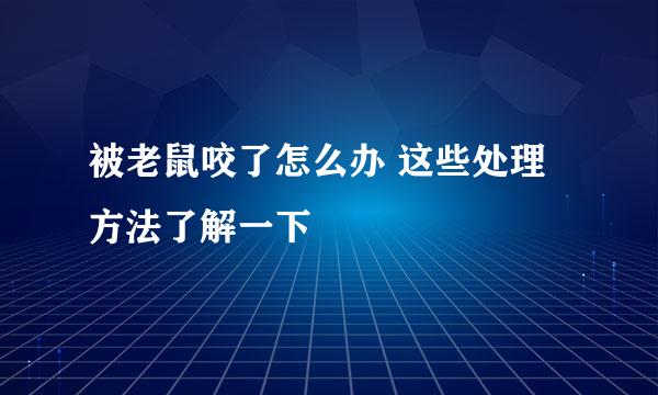 被老鼠咬了怎么办 这些处理方法了解一下