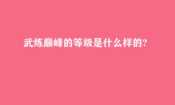 武炼巅峰的等级是什么样的?