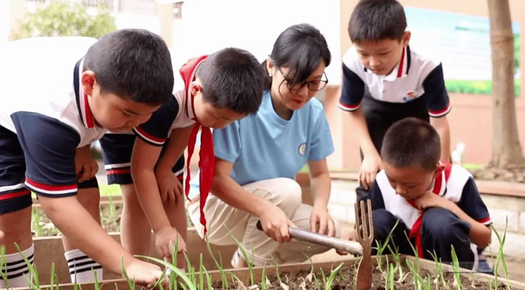 9月起劳动课将成为中小学独立课程，有什么意义？