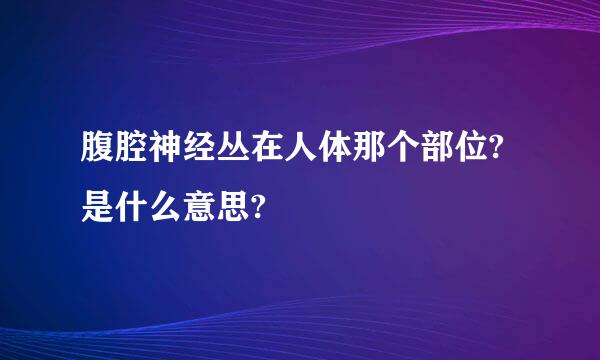 腹腔神经丛在人体那个部位?是什么意思?