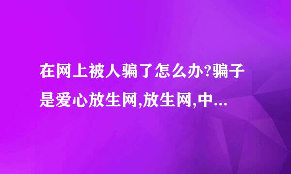 在网上被人骗了怎么办?骗子是爱心放生网,放生网,中华放生联盟还有地藏论坛的放生栏目