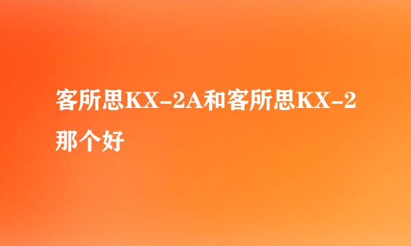 客所思KX-2A和客所思KX-2那个好