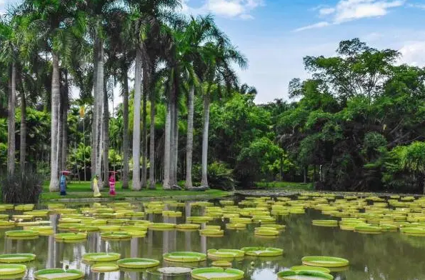 5月去哪里旅游最好选择