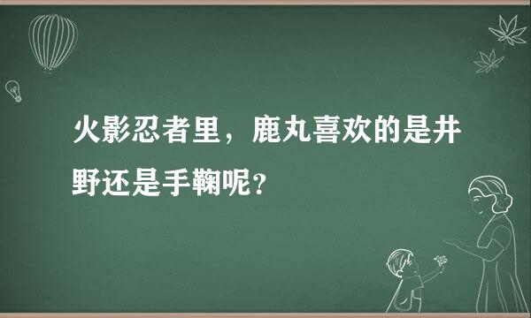 火影忍者里，鹿丸喜欢的是井野还是手鞠呢？