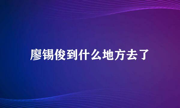 廖锡俊到什么地方去了