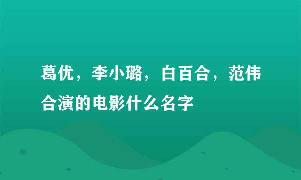 葛优，李小璐，白百合，范伟合演的电影什么名字