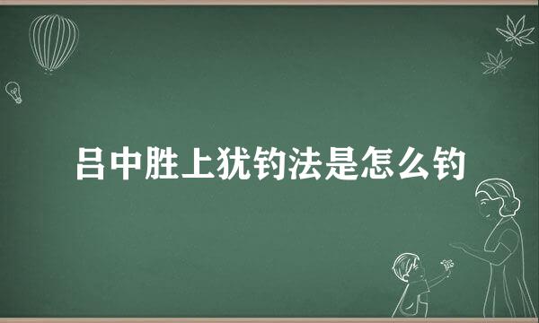 吕中胜上犹钓法是怎么钓