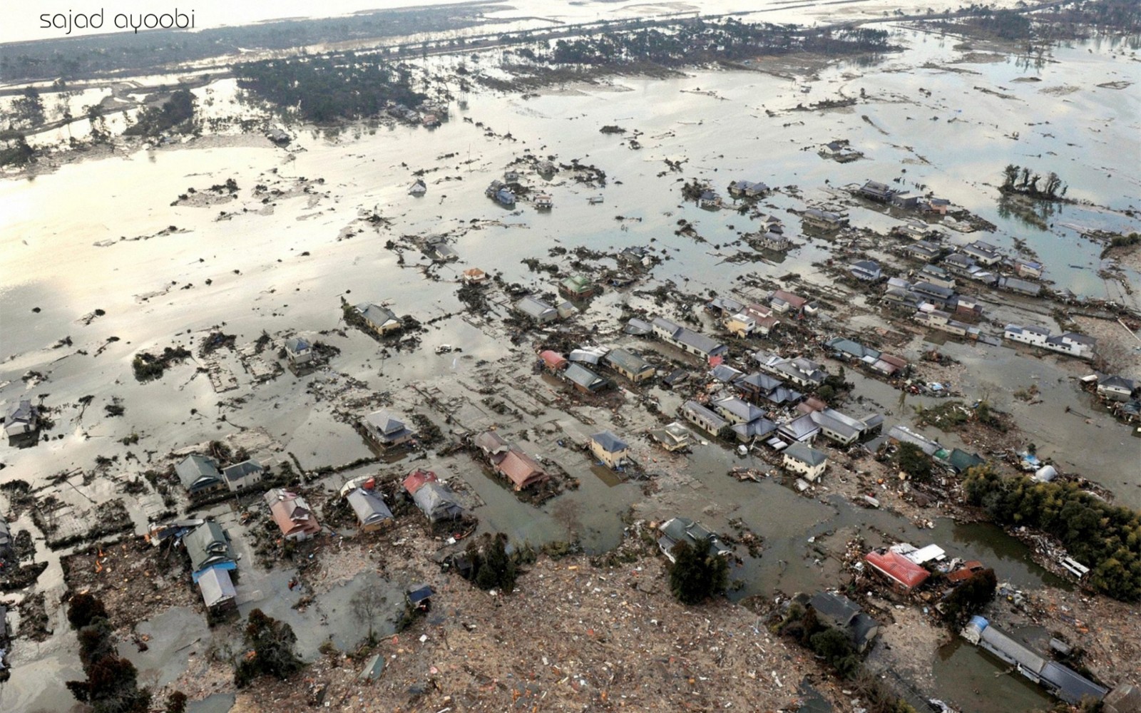 民间传言李四光预言四大地震，是哪四大城市?