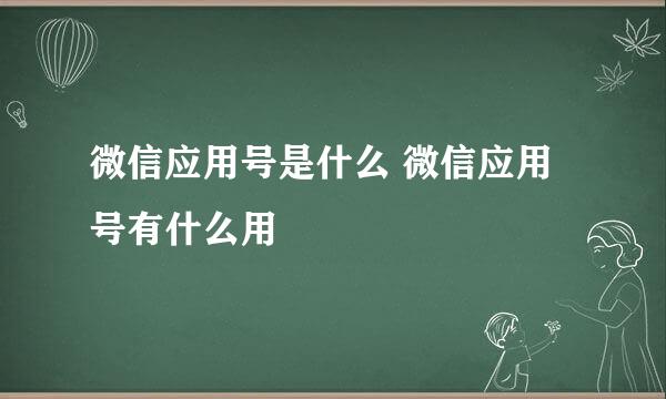 微信应用号是什么 微信应用号有什么用