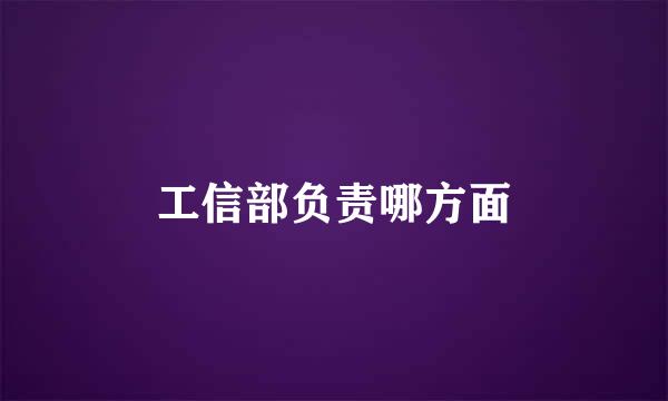 工信部负责哪方面