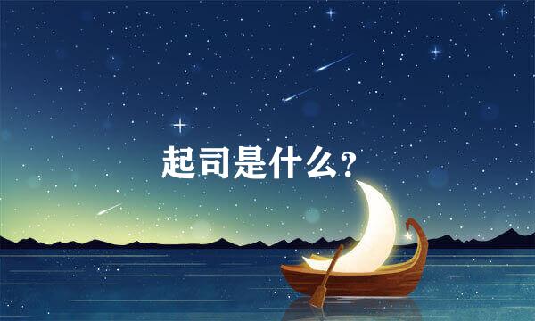 起司是什么？