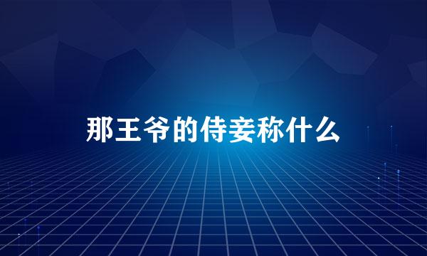 那王爷的侍妾称什么