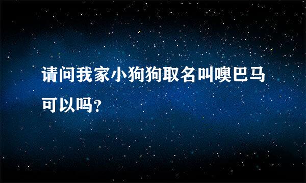 请问我家小狗狗取名叫噢巴马可以吗？