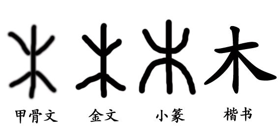 木字旁的字有哪些