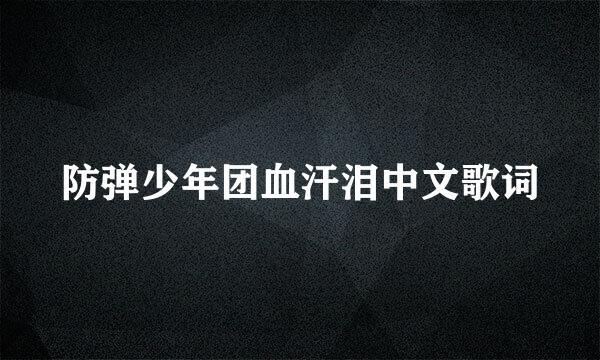 防弹少年团血汗泪中文歌词