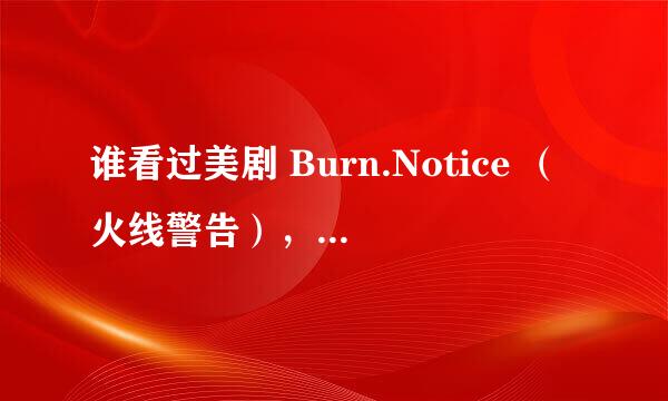 谁看过美剧 Burn.Notice （火线警告），什么风格？