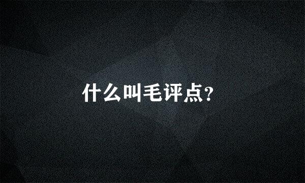 什么叫毛评点？