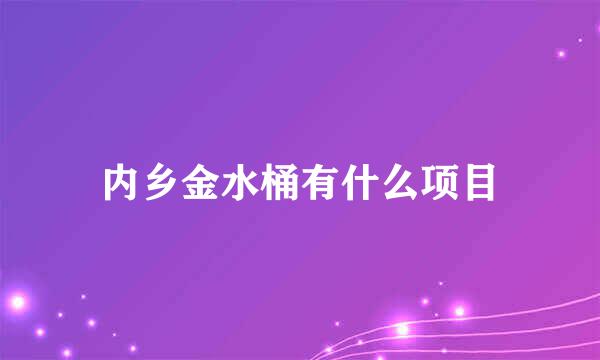 内乡金水桶有什么项目