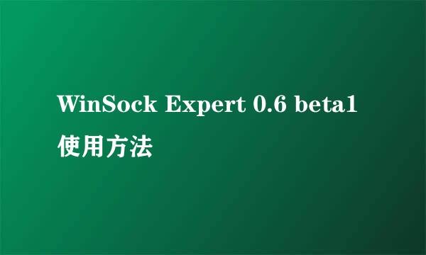 WinSock Expert 0.6 beta1使用方法