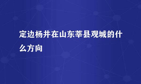 定边杨井在山东莘县观城的什么方向