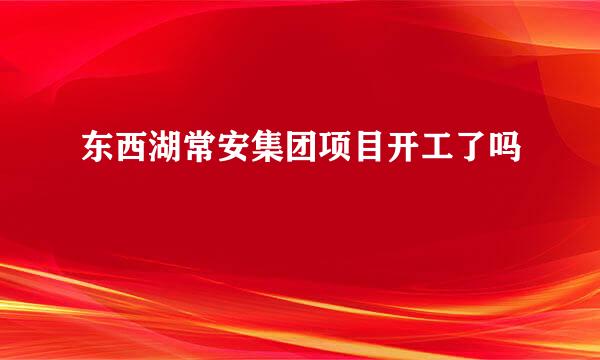 东西湖常安集团项目开工了吗