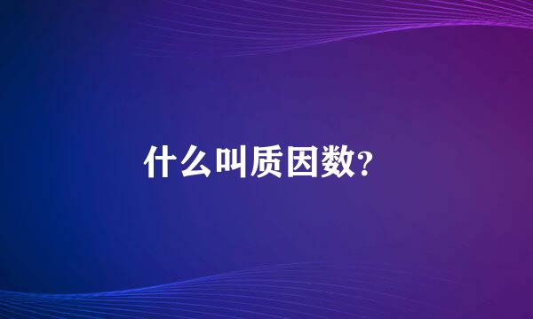 什么叫质因数？