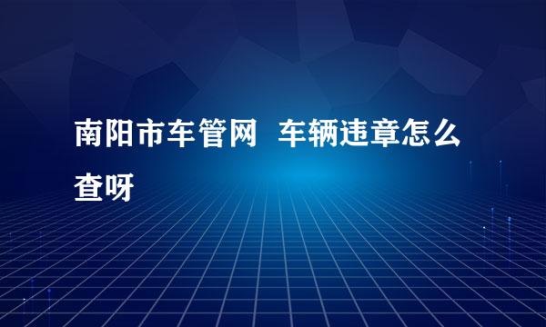 南阳市车管网  车辆违章怎么查呀