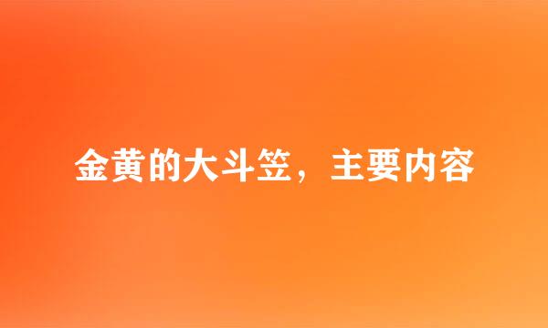 金黄的大斗笠，主要内容