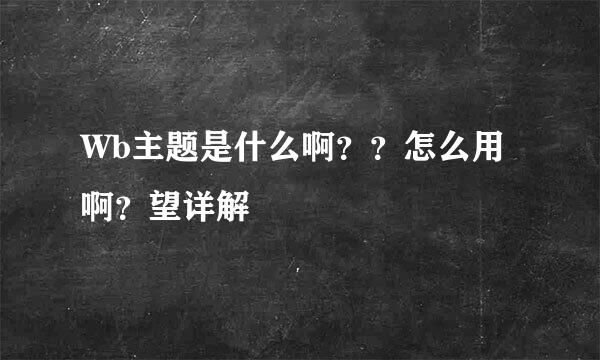 Wb主题是什么啊？？怎么用啊？望详解