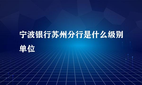 宁波银行苏州分行是什么级别单位