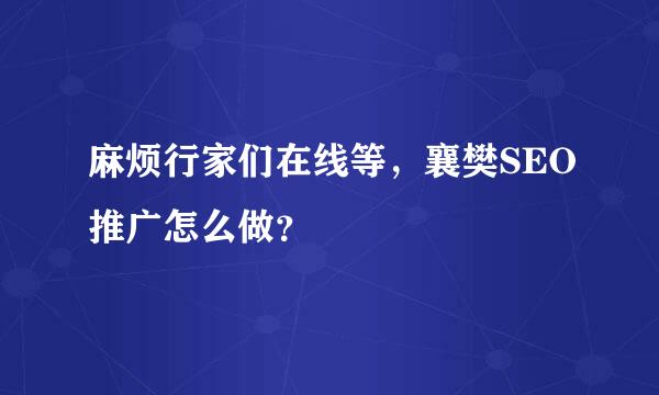 麻烦行家们在线等，襄樊SEO推广怎么做？