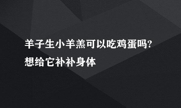 羊子生小羊羔可以吃鸡蛋吗?想给它补补身体