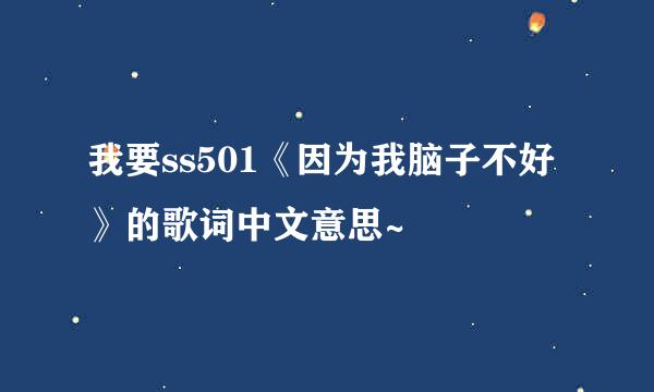 我要ss501《因为我脑子不好》的歌词中文意思~