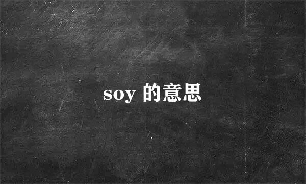 soy 的意思