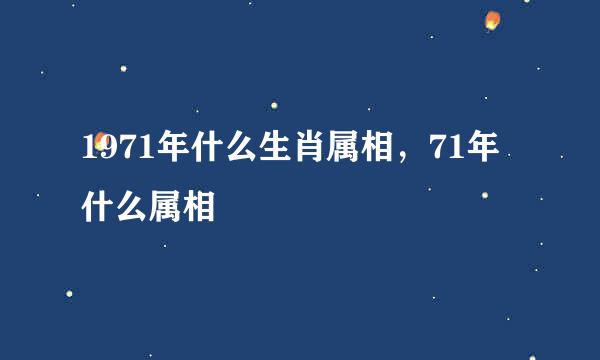 1971年什么生肖属相，71年什么属相