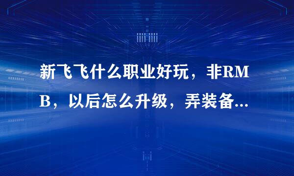 新飞飞什么职业好玩，非RMB，以后怎么升级，弄装备，PK技巧，谢谢