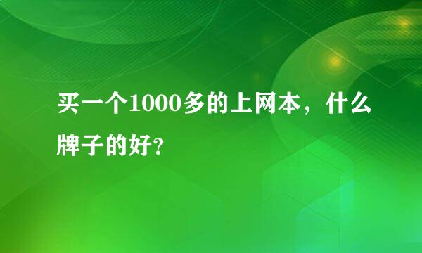 买一个1000多的上网本，什么牌子的好？