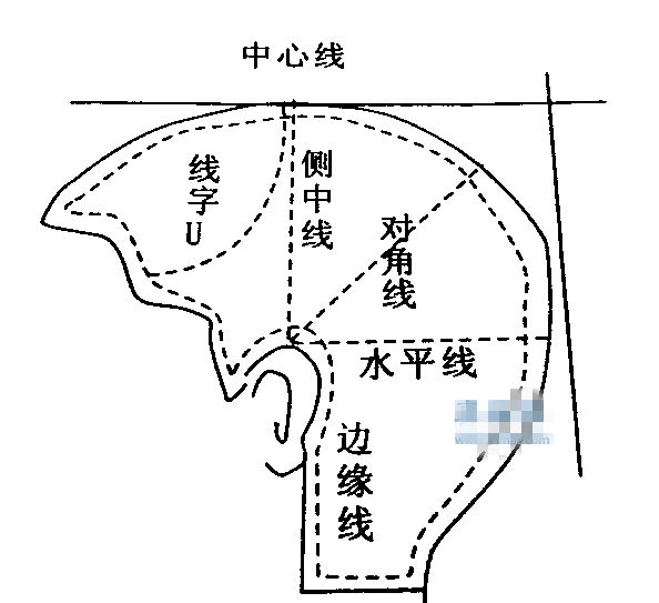 美发上的点线面是怎么回事