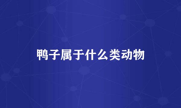 鸭子属于什么类动物