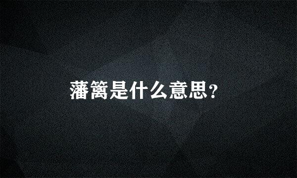 藩篱是什么意思？