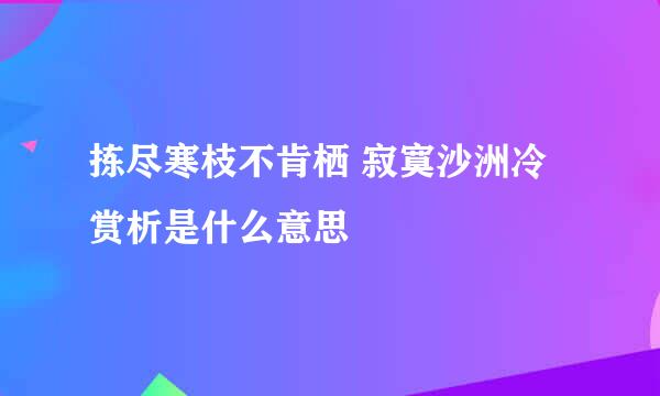 拣尽寒枝不肯栖 寂寞沙洲冷赏析是什么意思