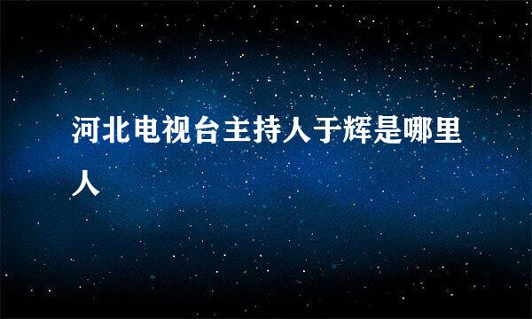 河北电视台主持人于辉是哪里人